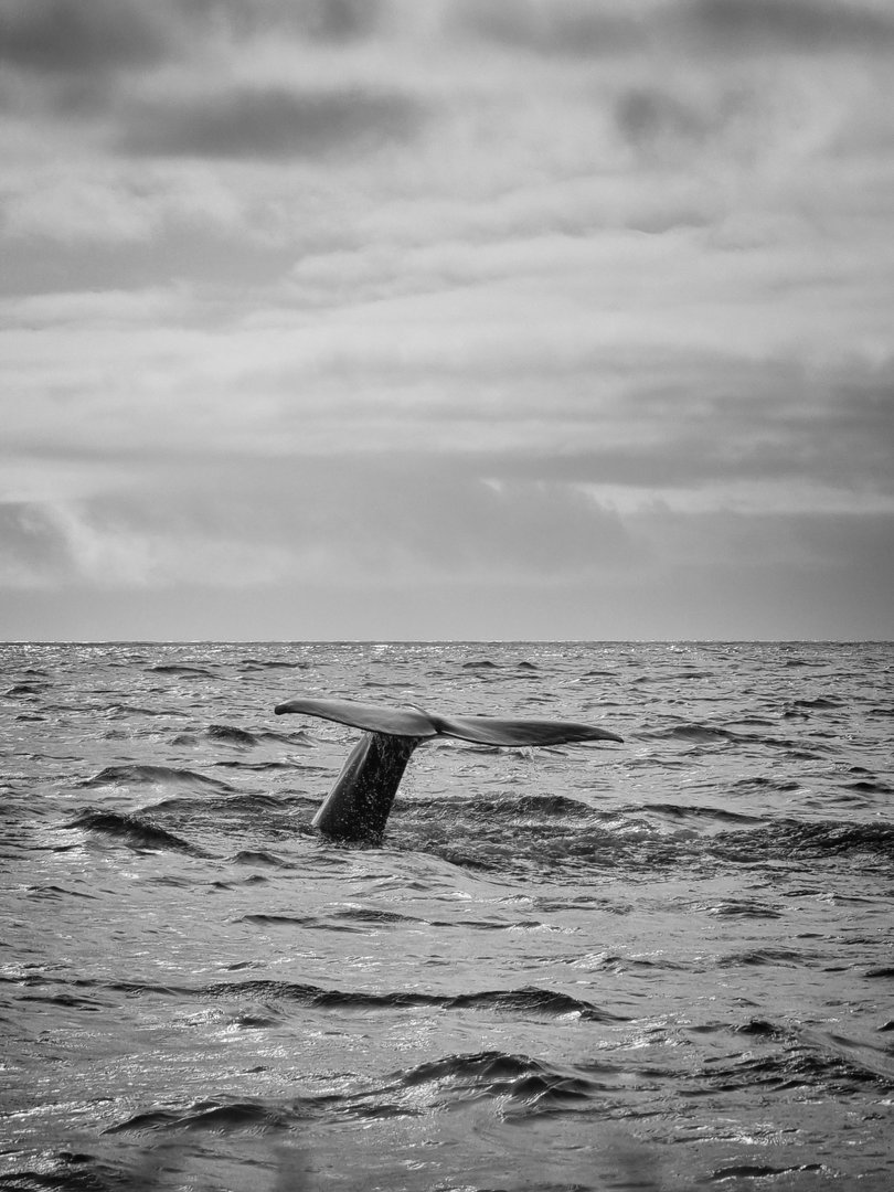 20210412_100220(0)-01.jpeg