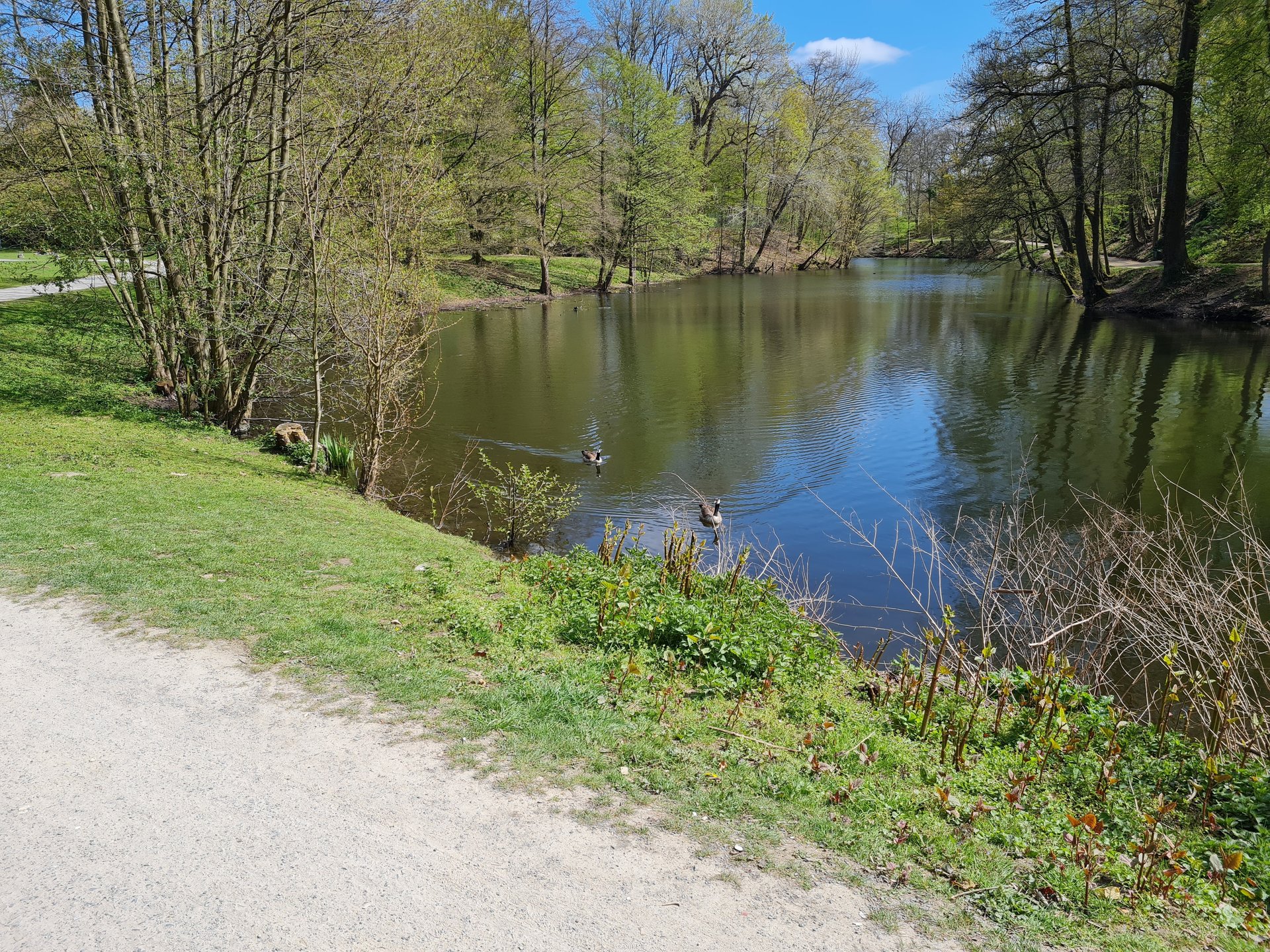 20210423_142338.jpg