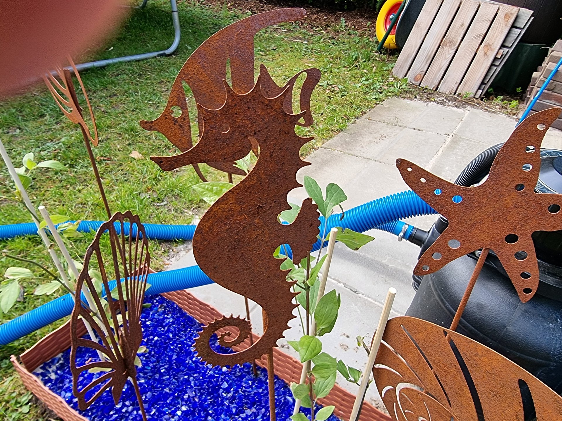 20210508_105038.jpg