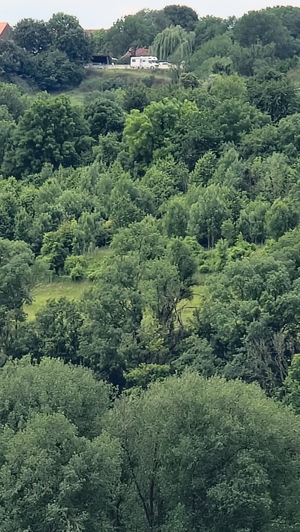 20210620_123425.jpg