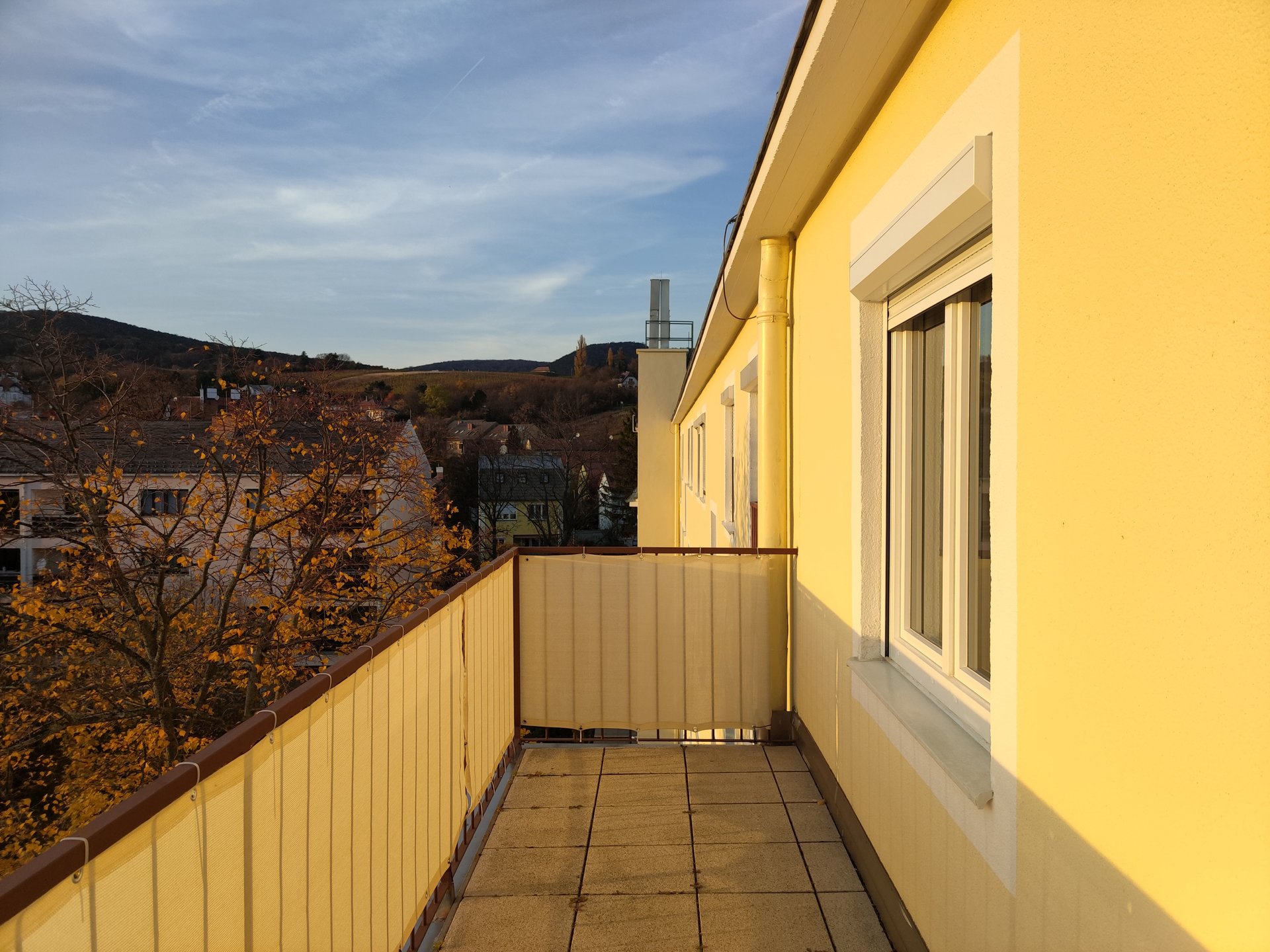20211110_153439.jpg
