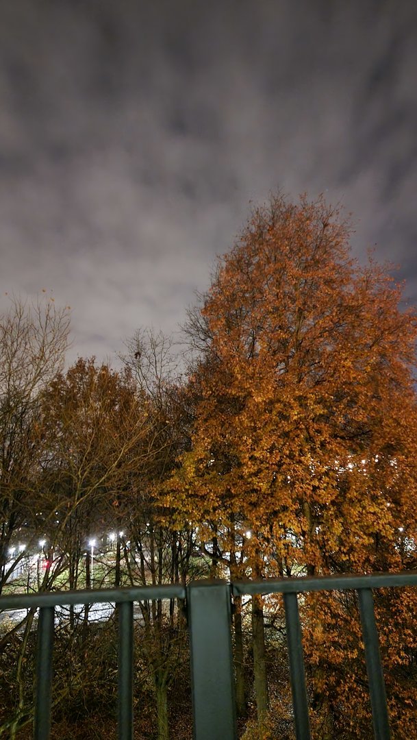 20211128_191856.jpg