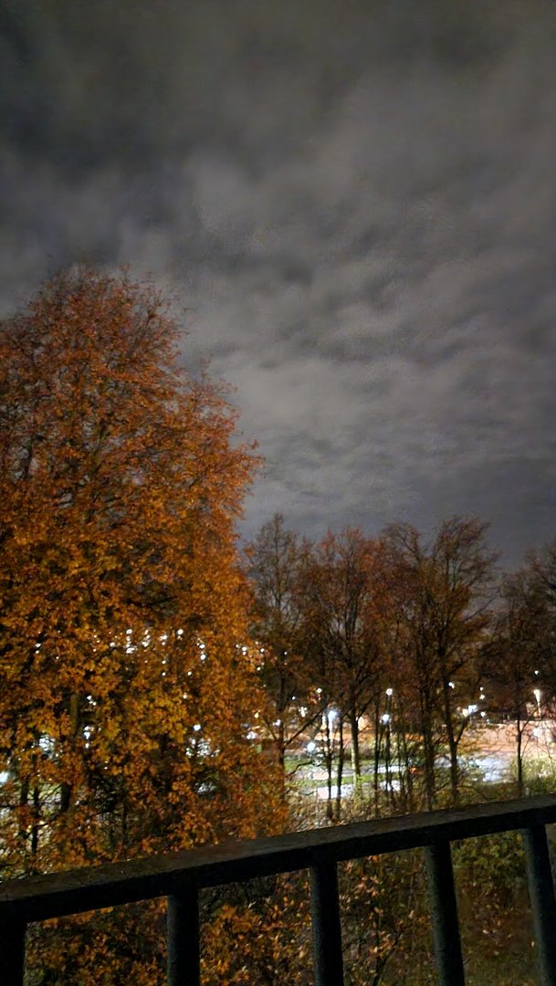 20211128_192301.jpg