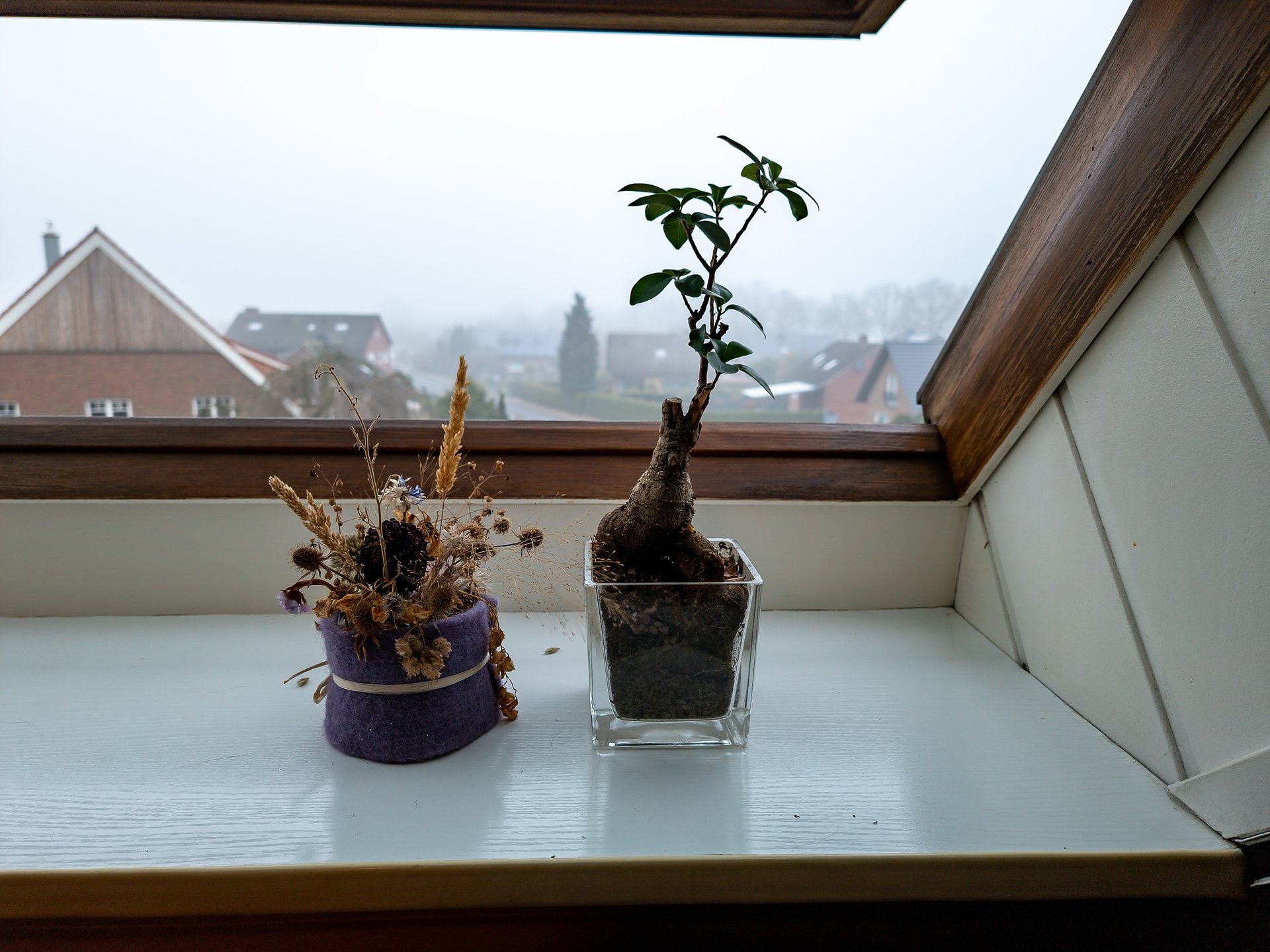20211216_125015.jpg