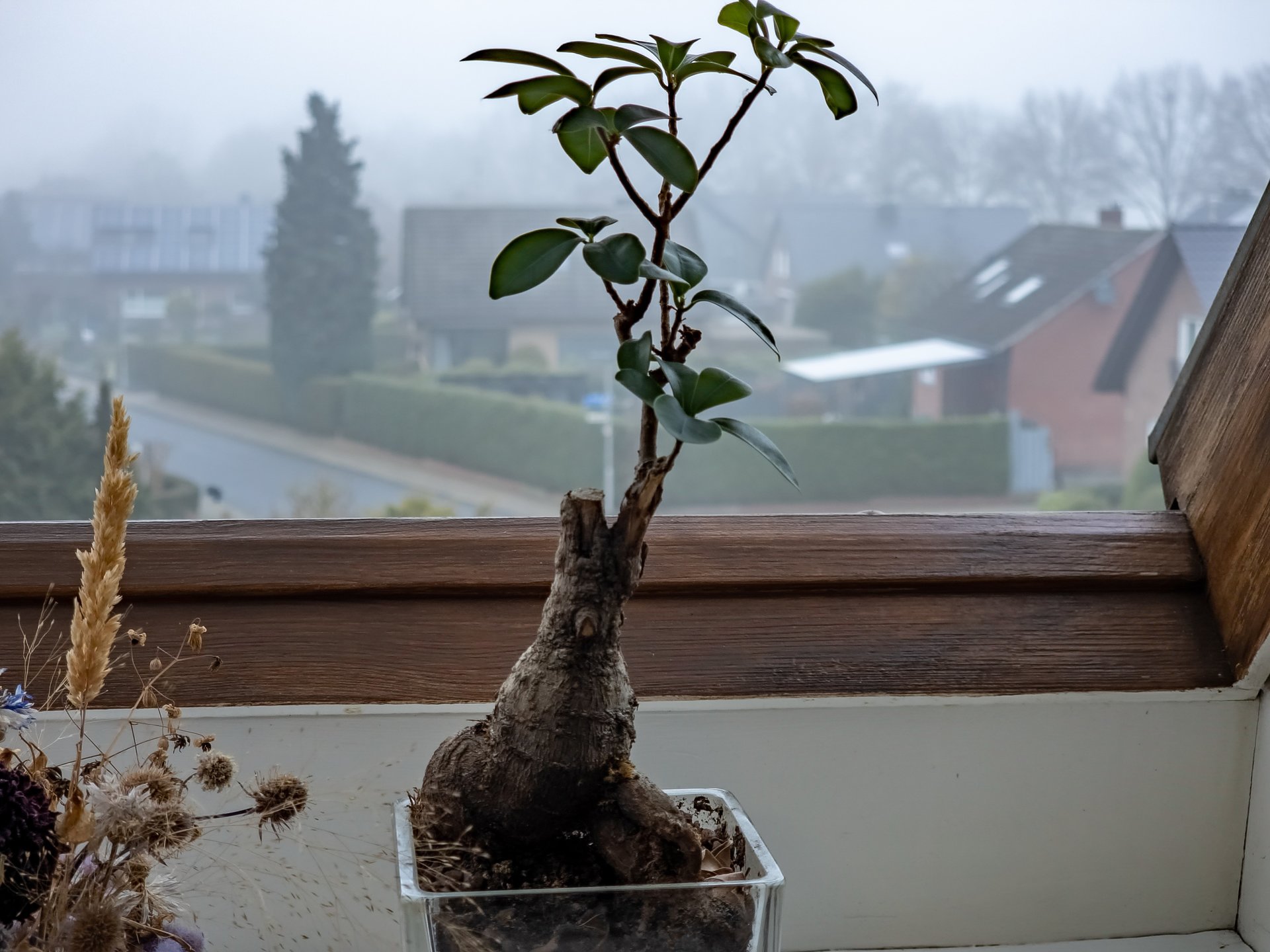20211216_125029.jpg