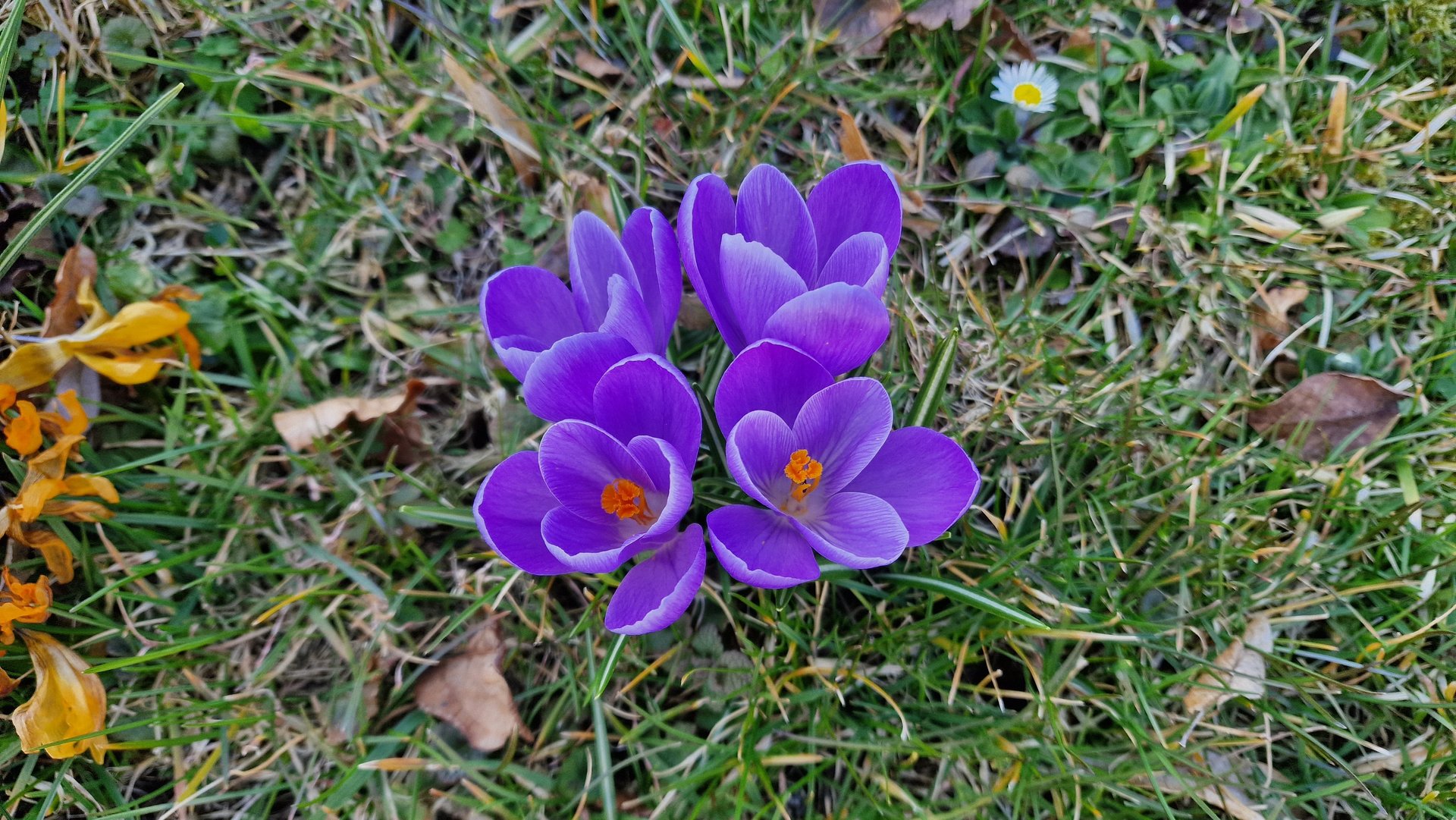 20220313_155854.jpg