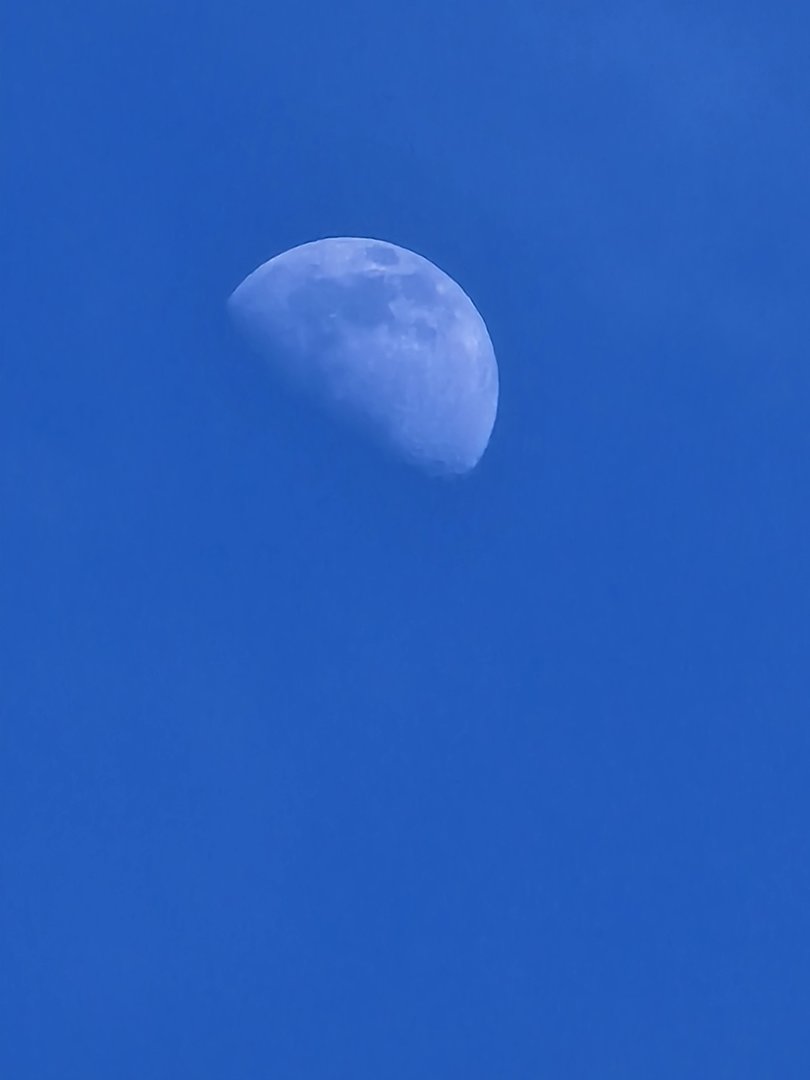20220410_165555.jpg