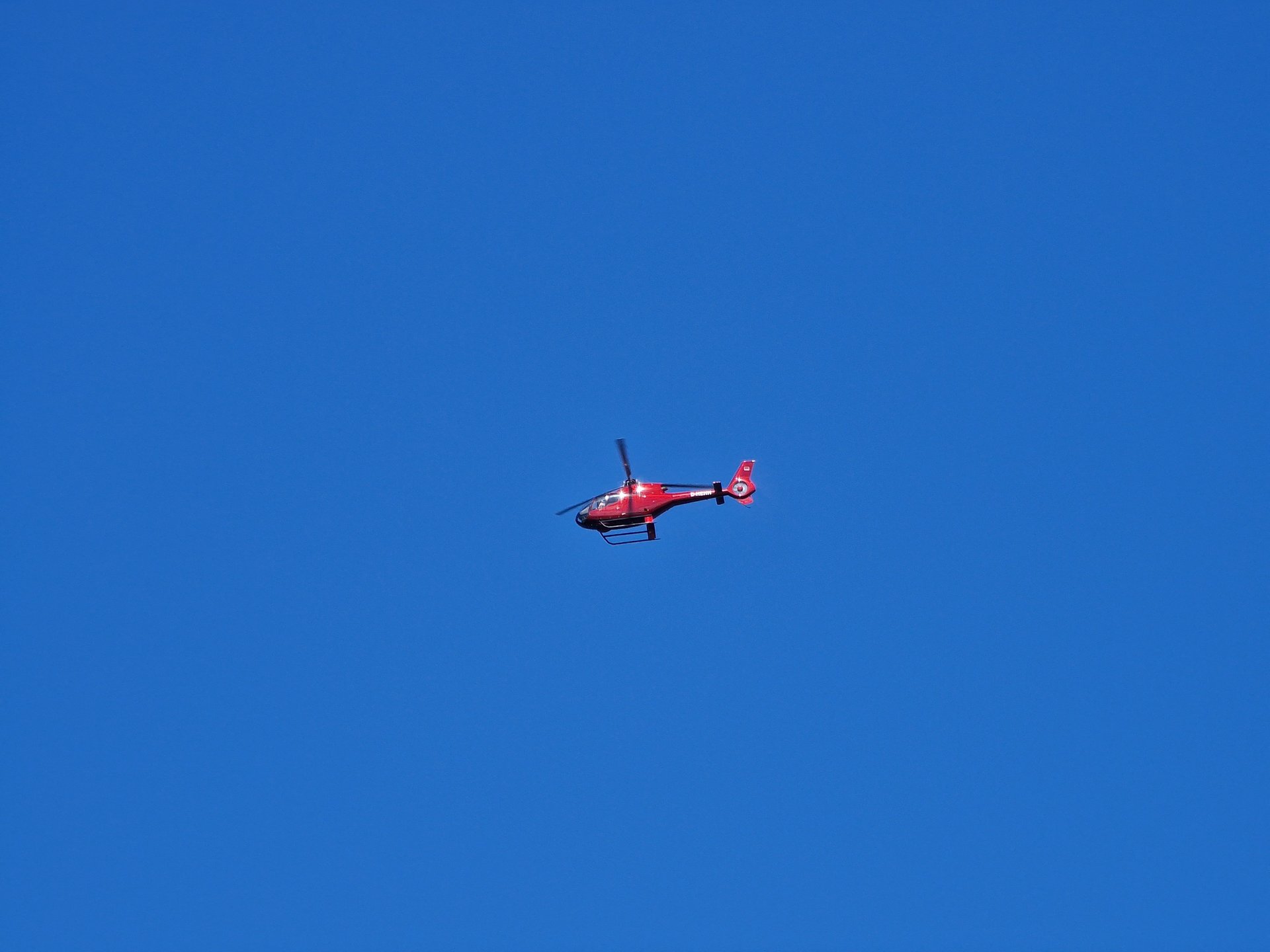 20220612_153233.jpg