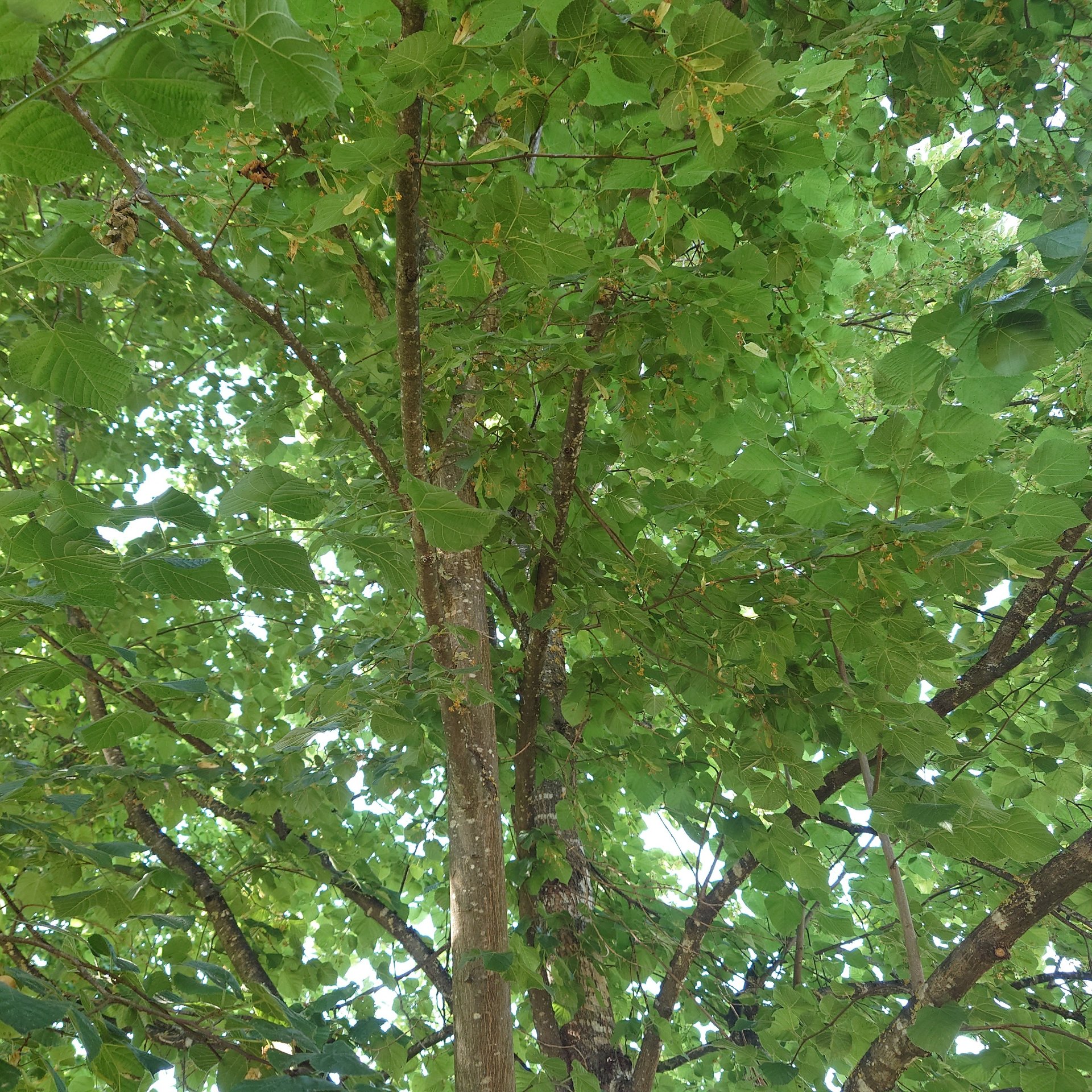20220619_165549.JPG