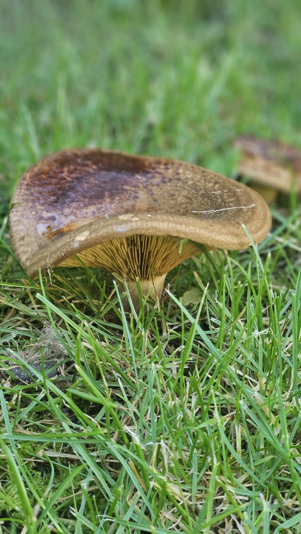 20230909_111648.jpg
