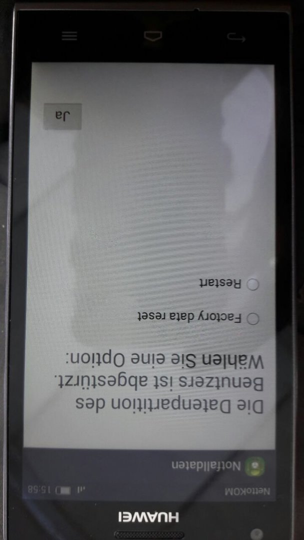 230118651_96513.jpg