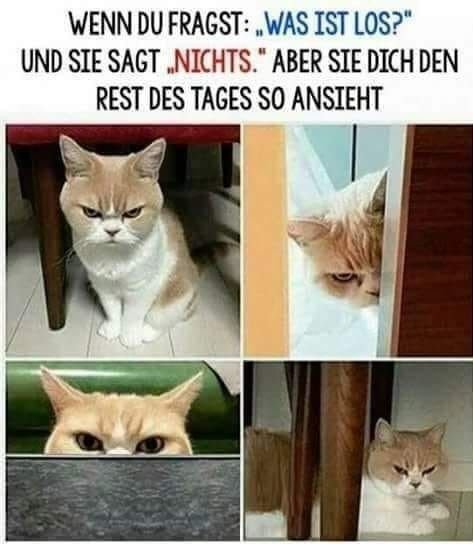 5vcdizyzbokcsq6ke8h0fqkxk4opmgdzu8px93pi5o9gguoewzqld2txhstoc9wq-jpg.693459