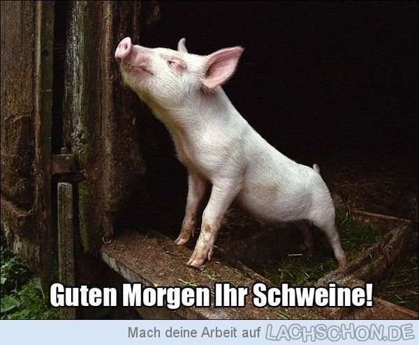 72984_guten_morgen.jpg