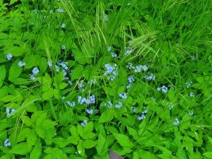 AH20210520_141941.jpg
