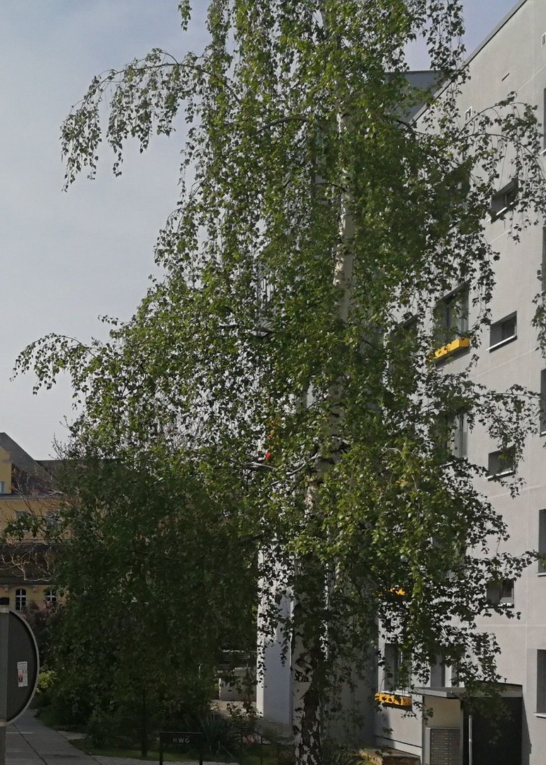 auto_auf_himmel_licht.jpg