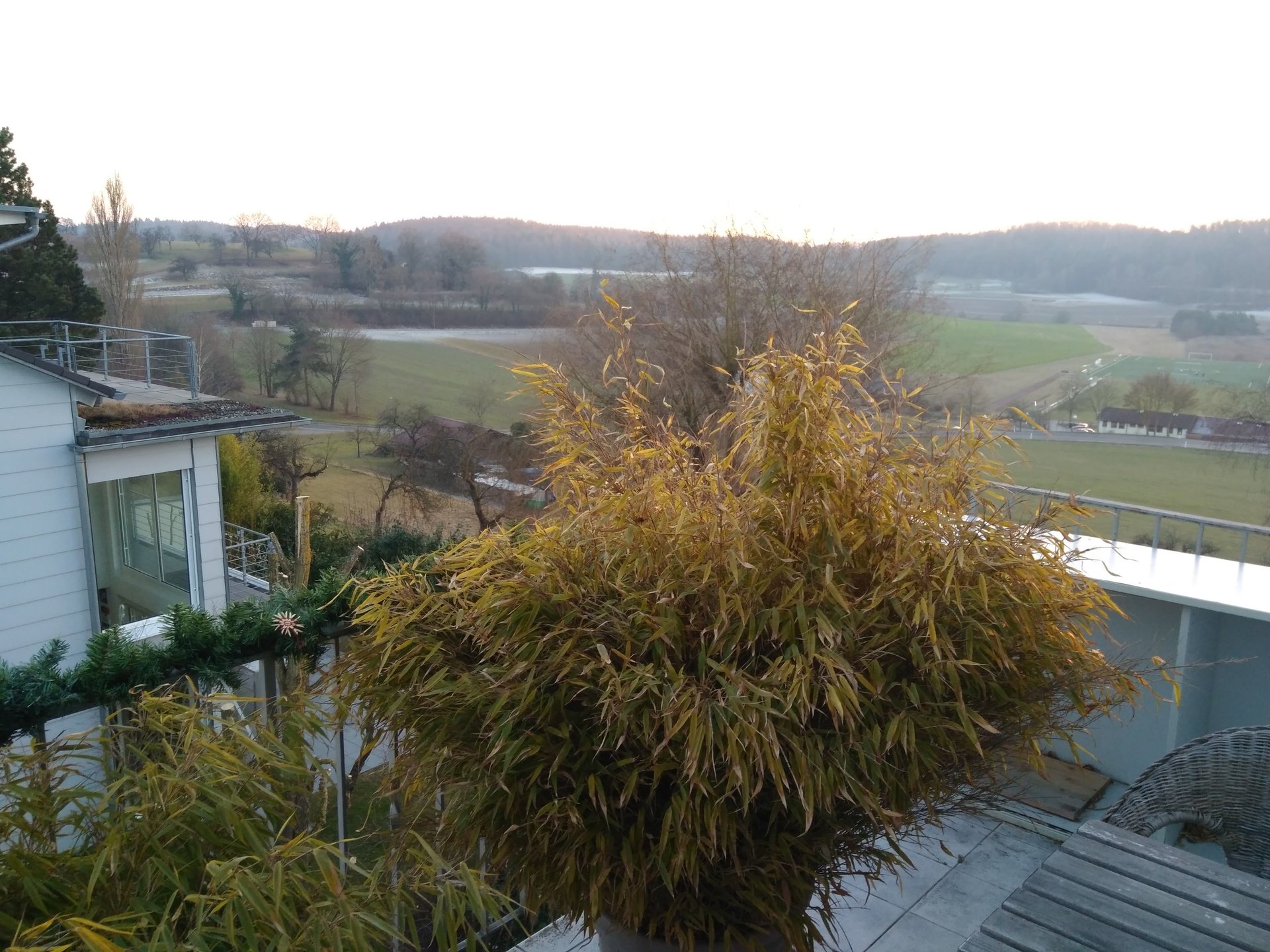 Bild2.jpg