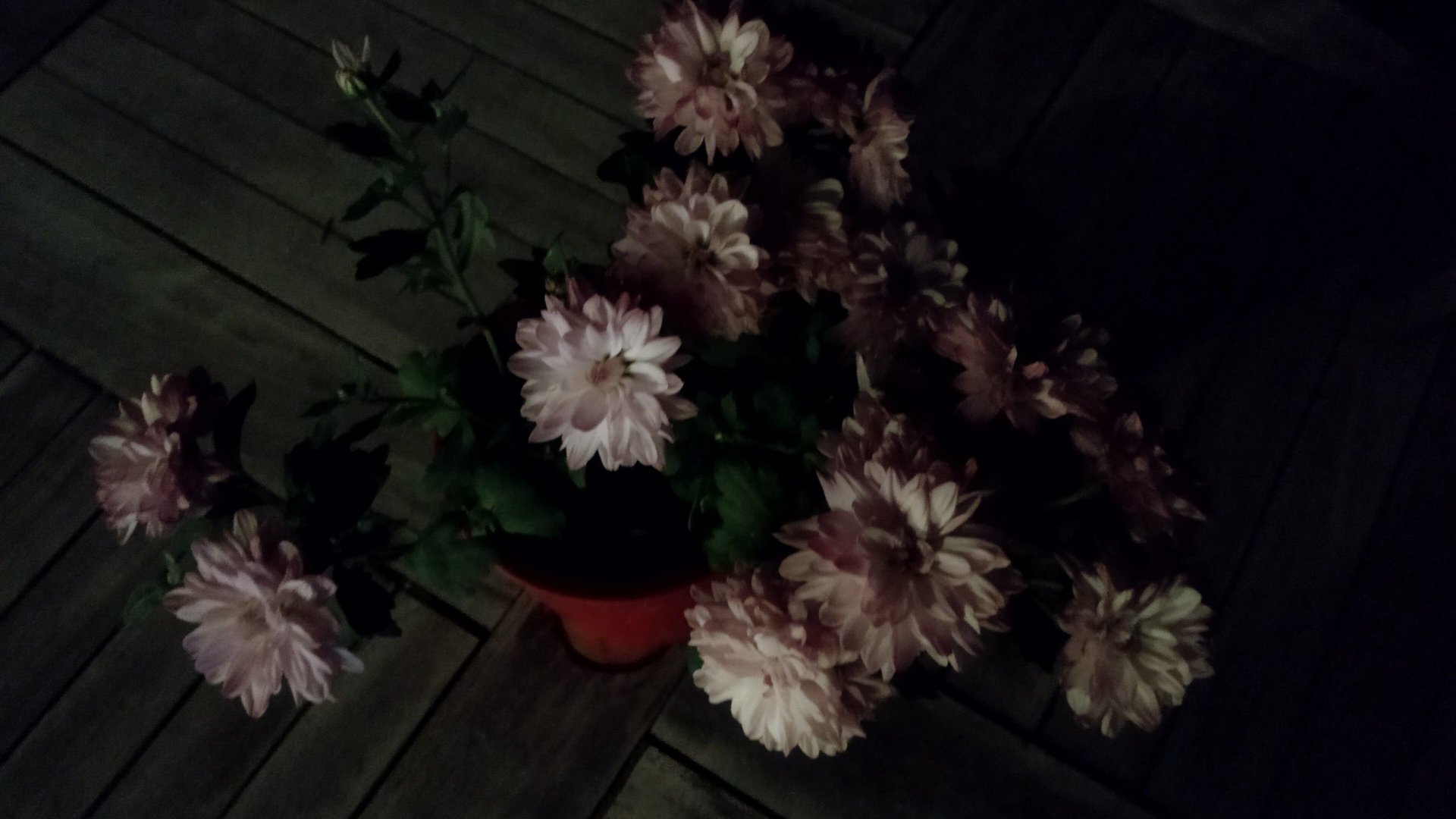 BQAX2_20180930_200707_540.jpg