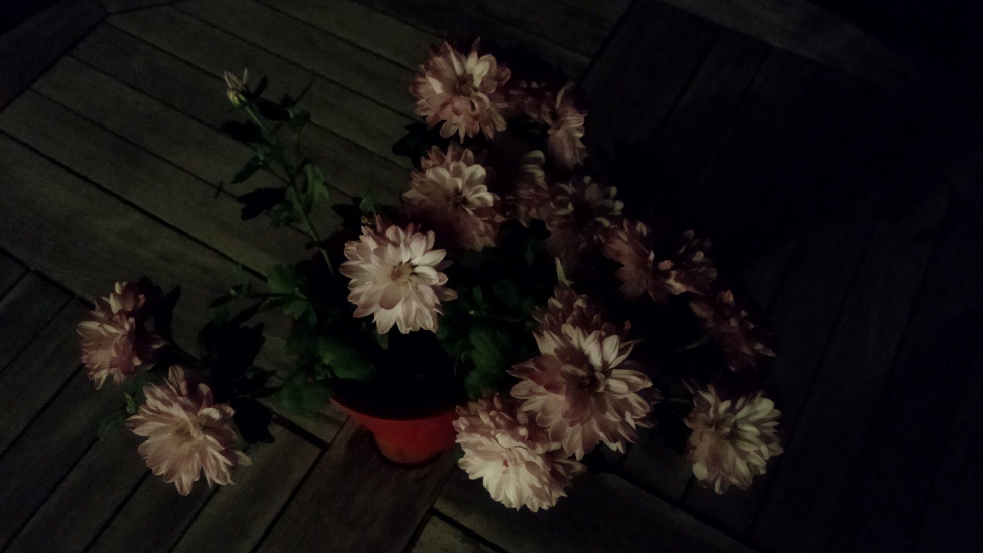 BQAX2_20180930_200715_744.jpg