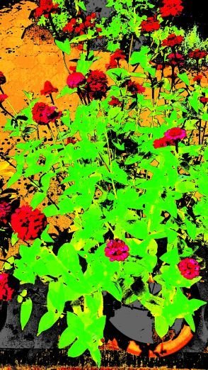 ColorScorer_20180730_132027.jpg