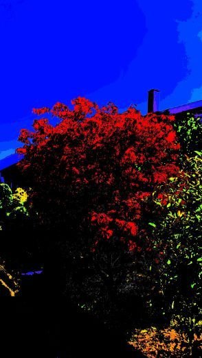 ColorScorer_20180730_132444.jpg