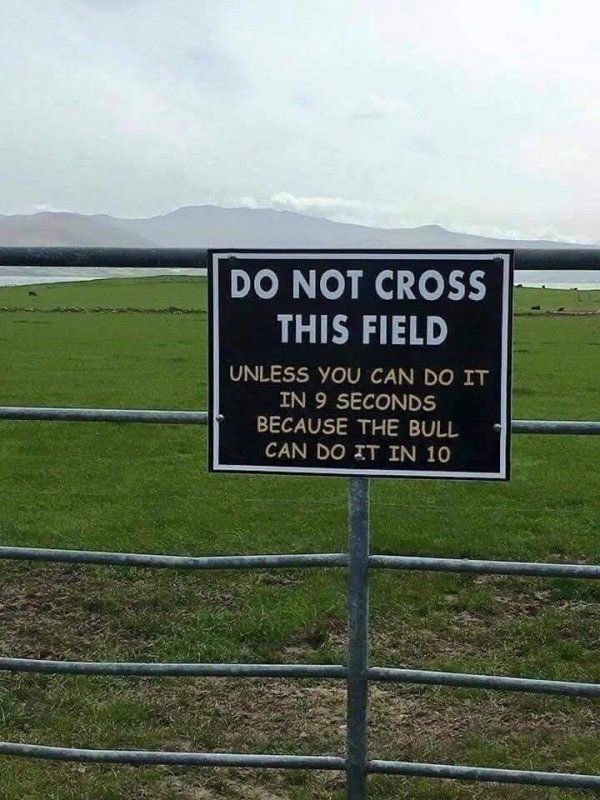 cross-jpg.728362