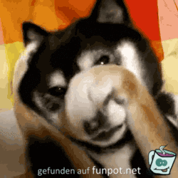 Da_muss_man_sich_schaemen.gif