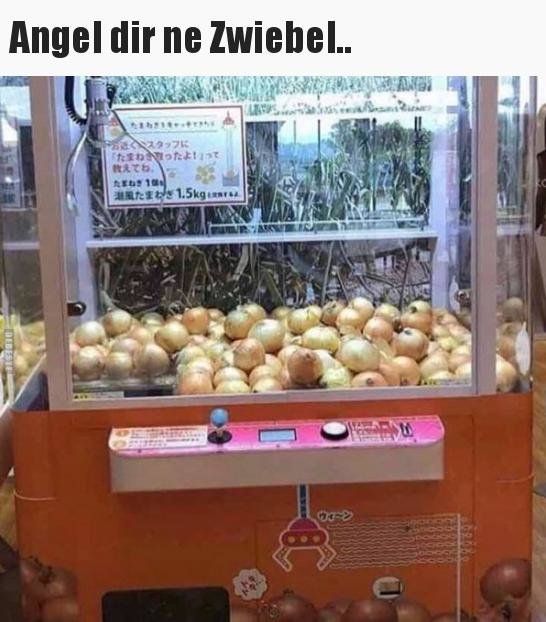 dgtg-jpeg.644939