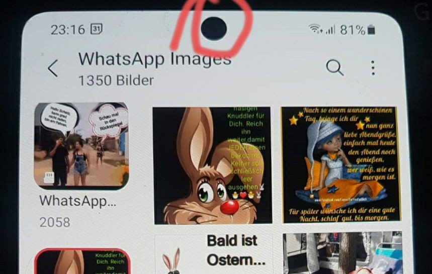 downloadfile_1.jpg