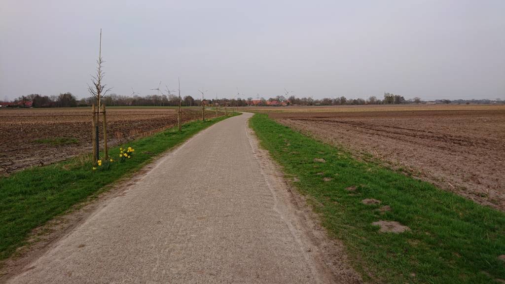 DSC_0041.JPG
