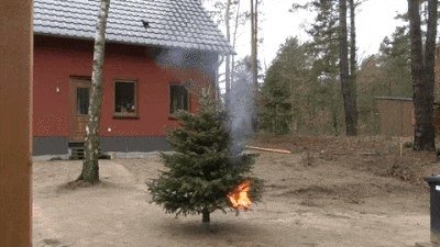 ezgif-1-bbabda4239.gif