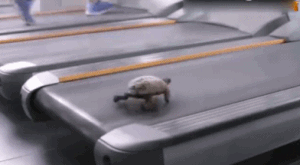 ezgif-3-f39435031a-gif.658687