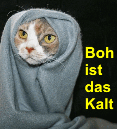 ezgif.com-7b0dba95b8.gif