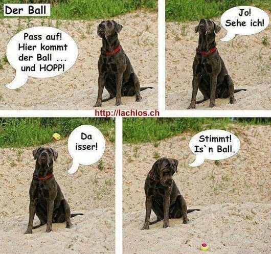 fb_img_1494836780423-jpg.674285