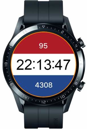 Flag_snapshot-watch-454.jpg