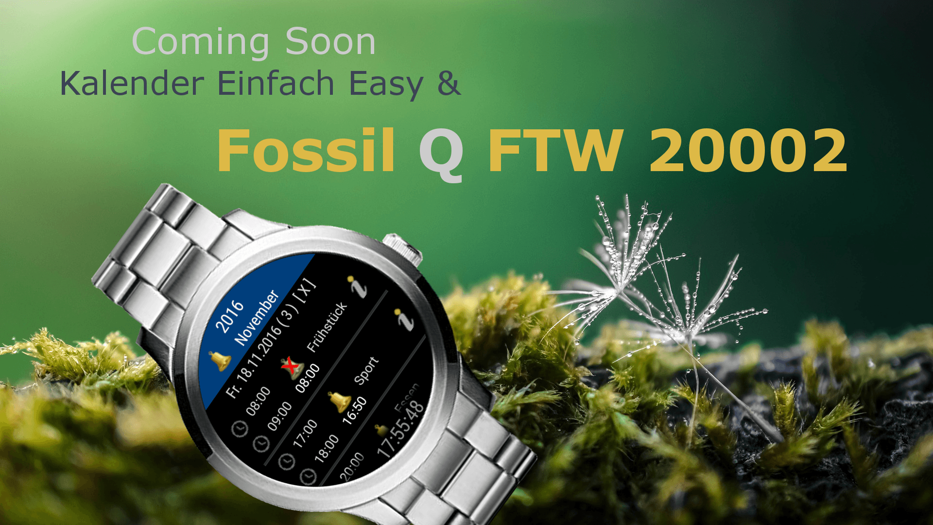 Fossil-Wasser.png