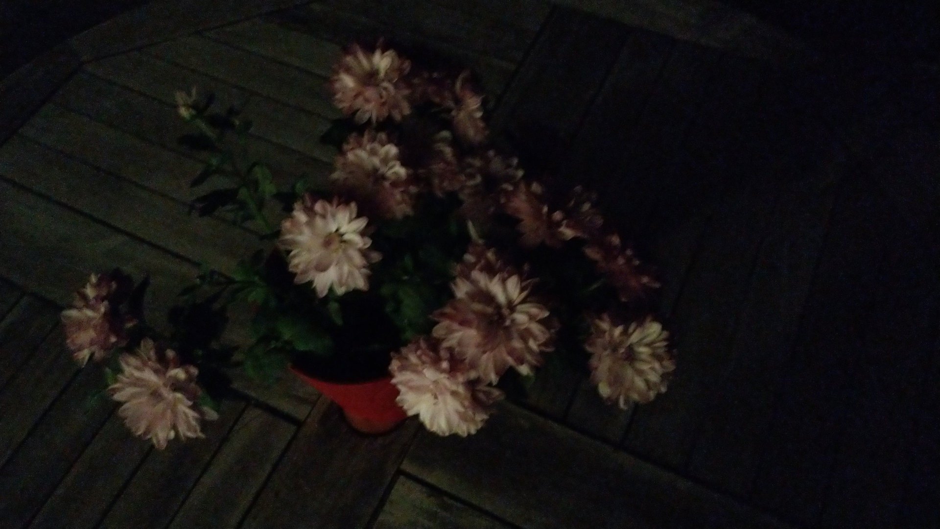GCam_20180930_200753.jpg