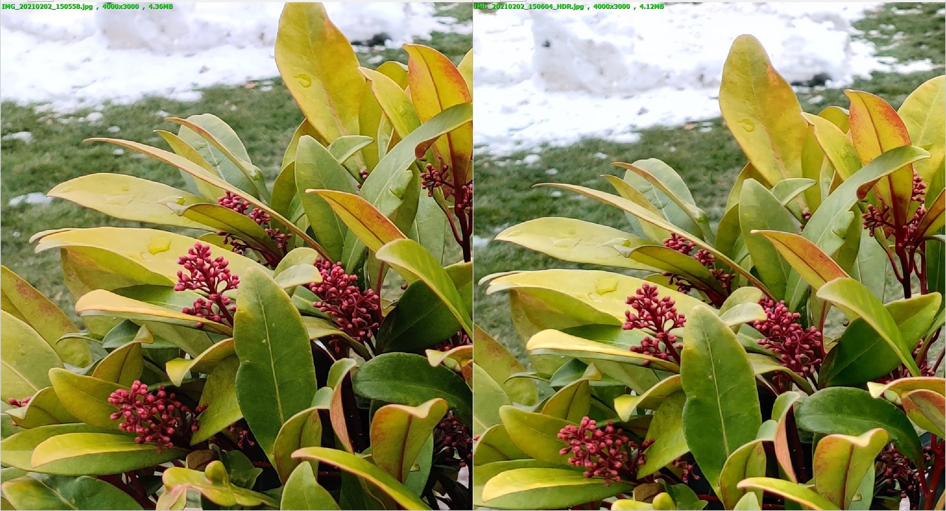 HDR.vs.nonHDR.Blume.jpg