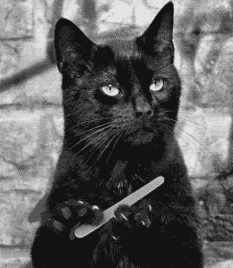 hilarious-funny-cat-filing-nails-animation.gif