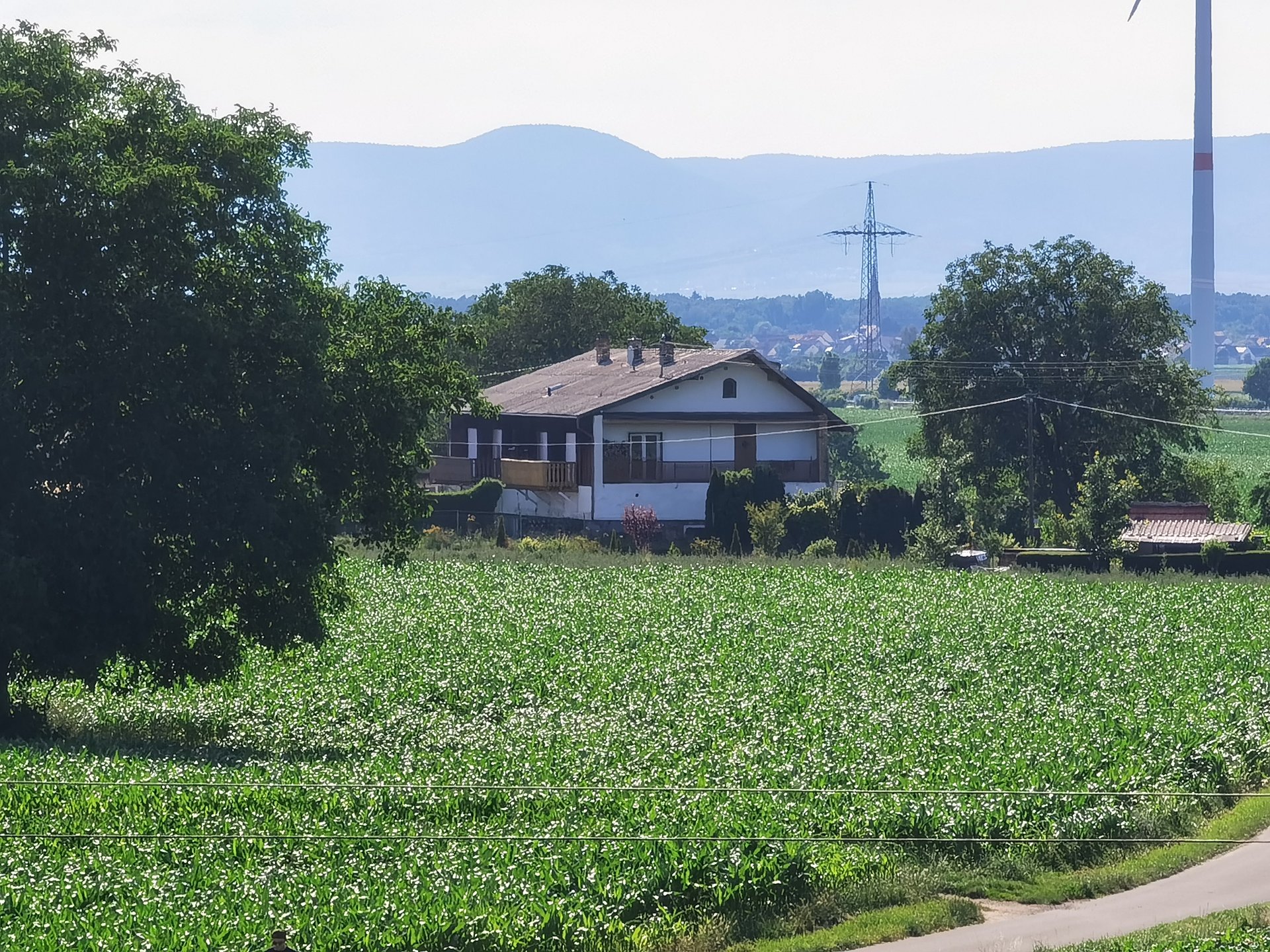 HuaweiP40 Pro.jpg