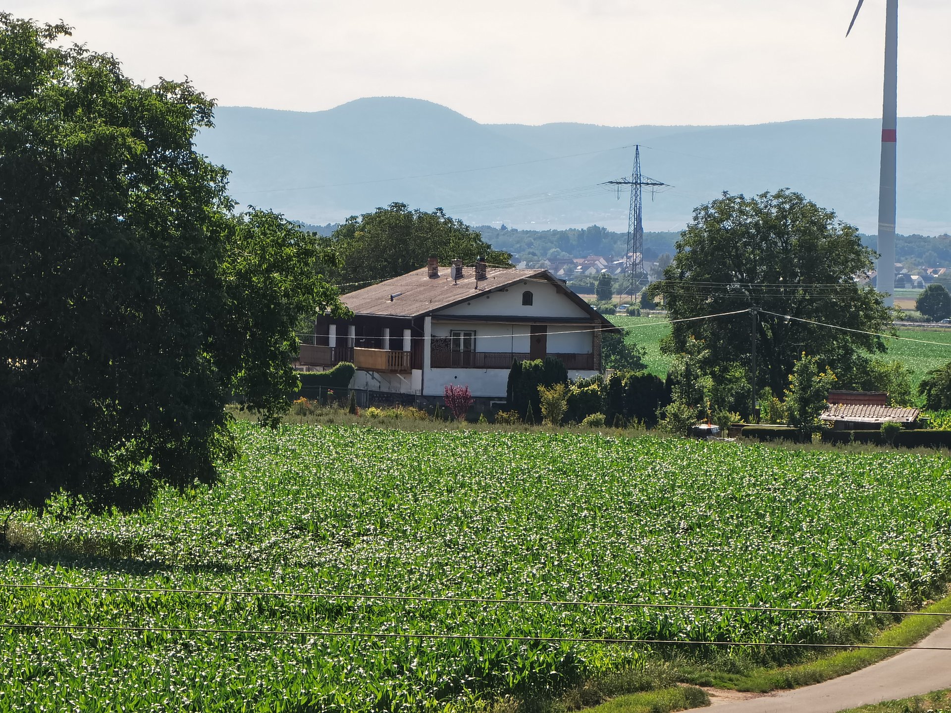 HuaweiP40 Pro Plus.jpg