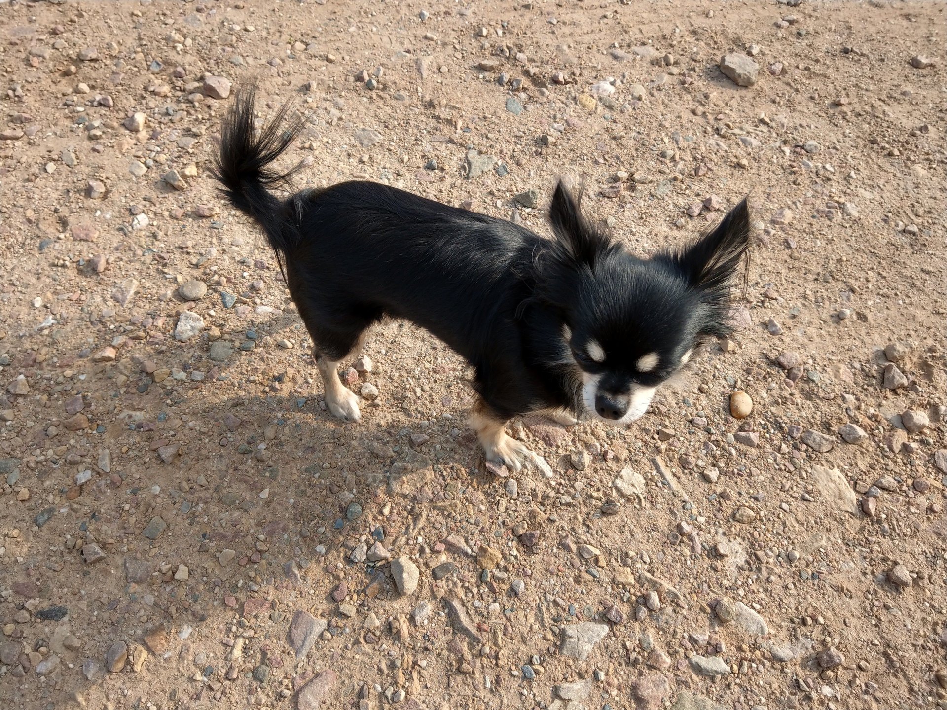IMAG0011.jpg