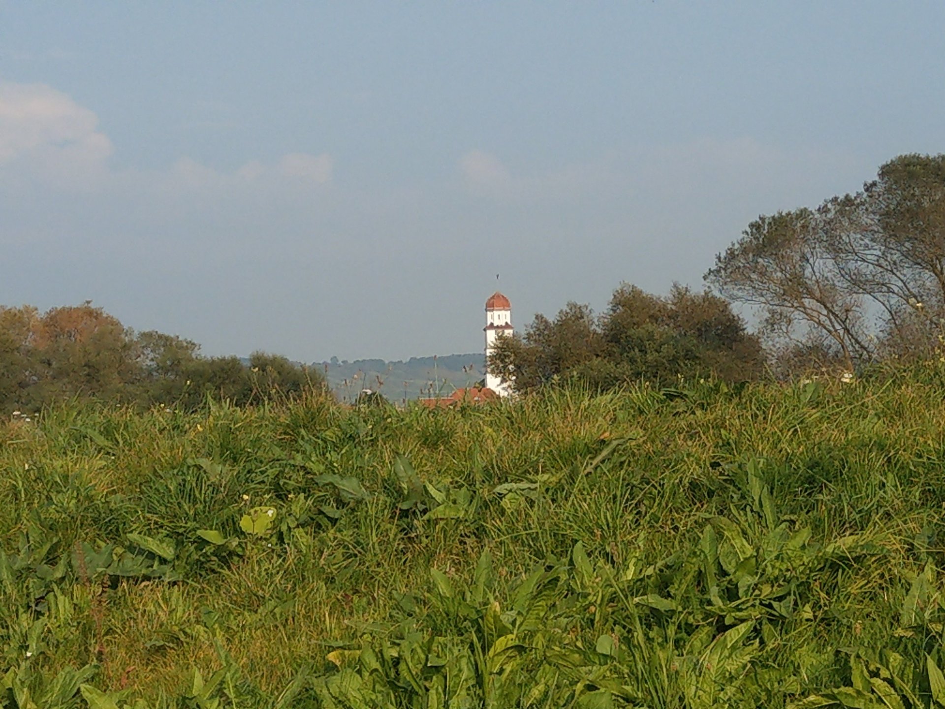 IMAG0023.jpg