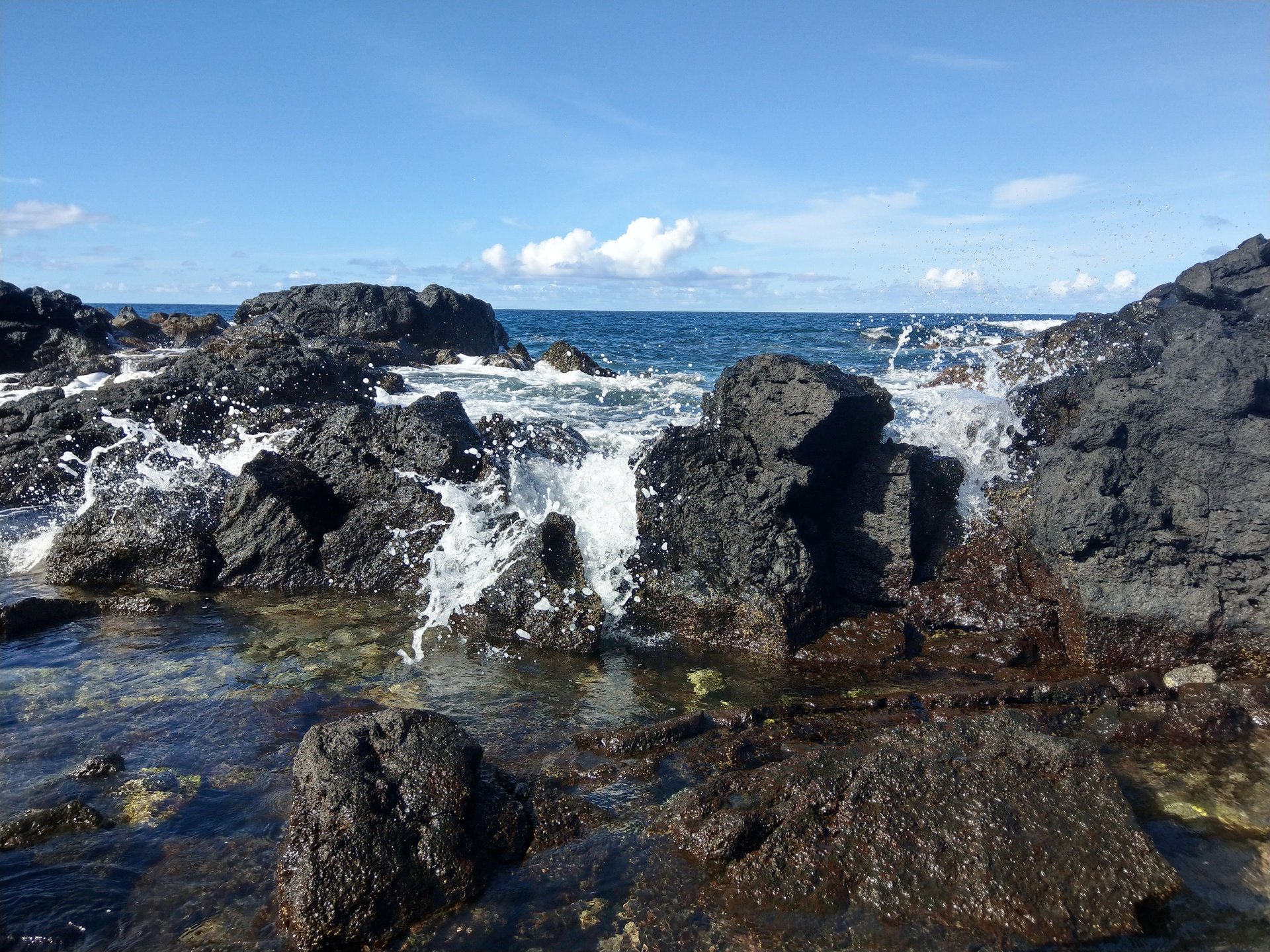 IMAG0176.jpg
