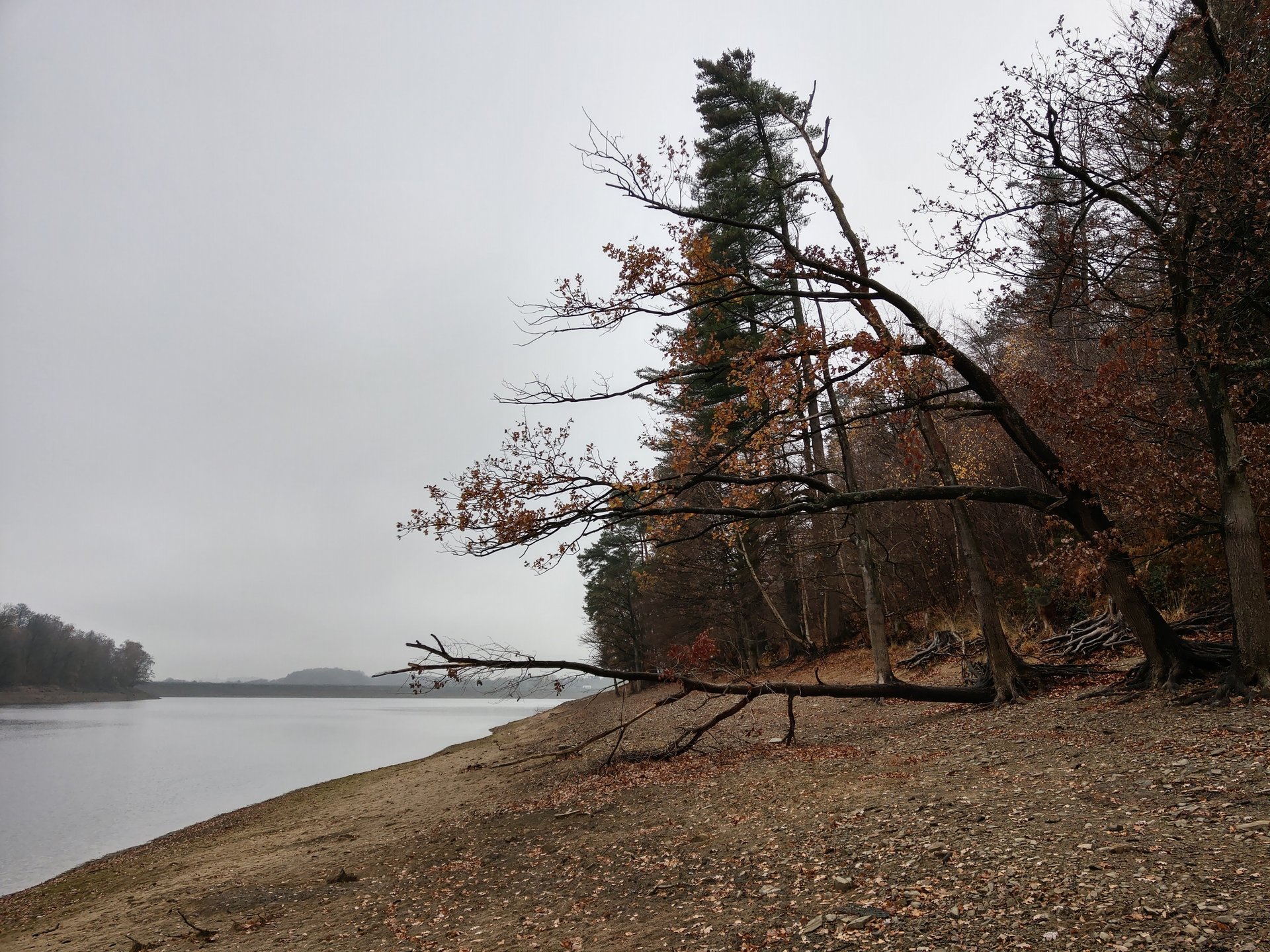 IMAG0295.jpg