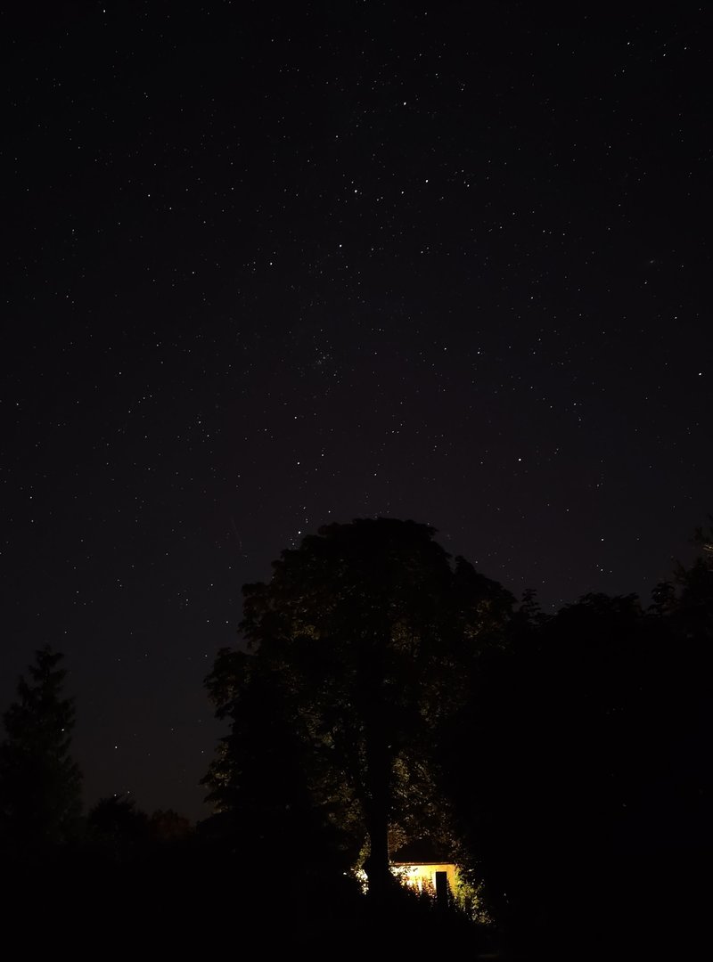 IMG20200729001530.jpg