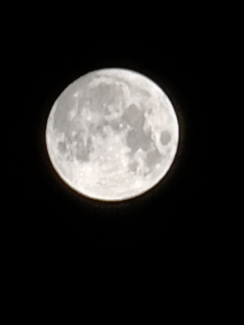 IMG20200803015237.jpg