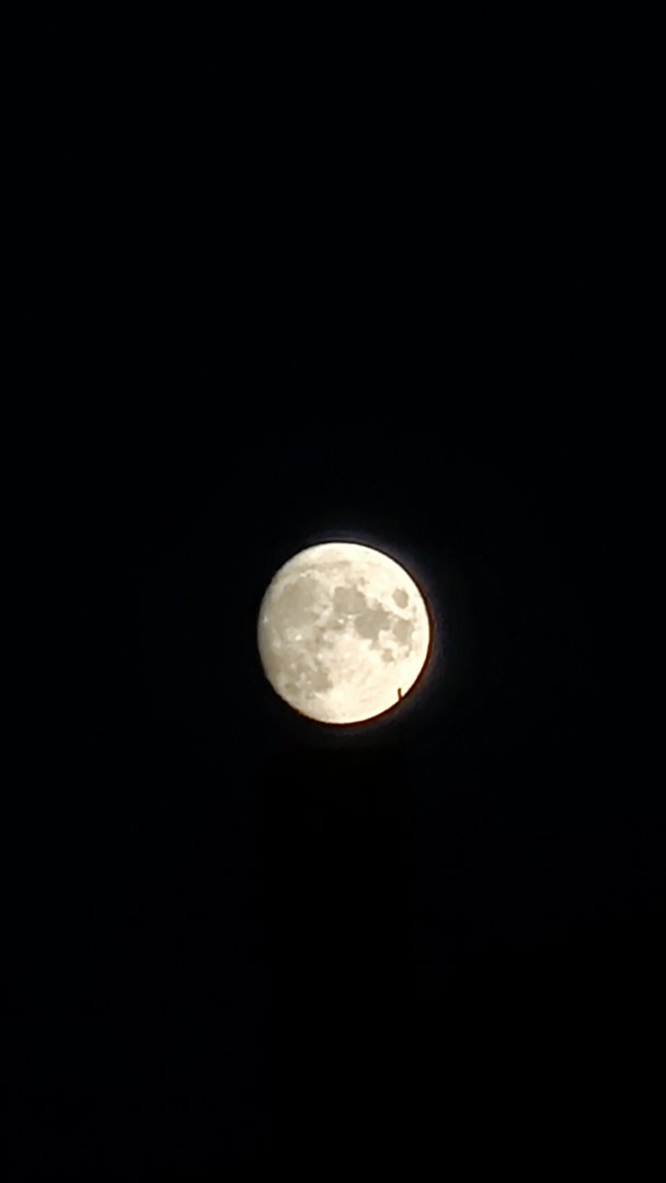 IMG20210918195010.jpg