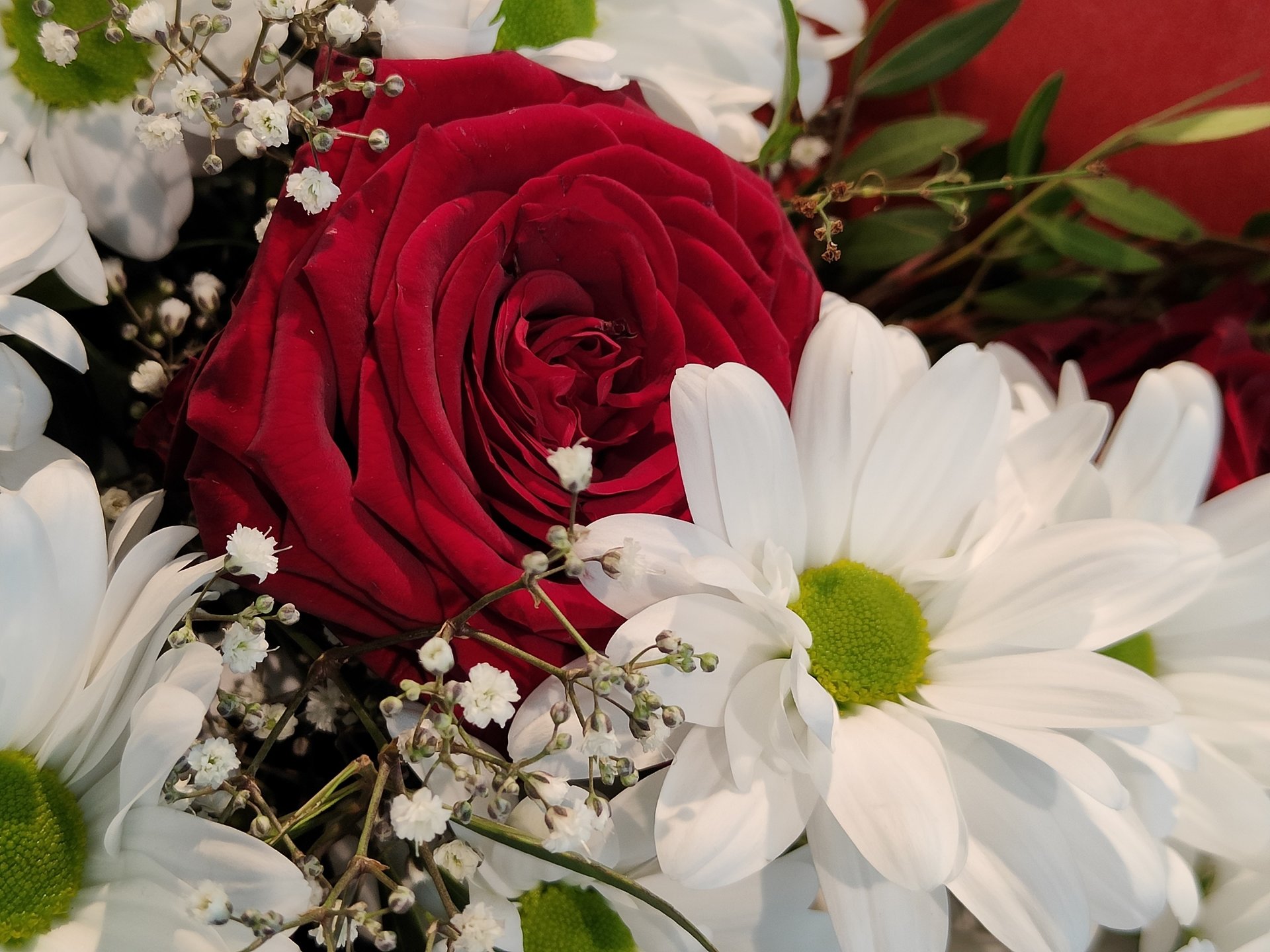 IMG20220212190816.jpg