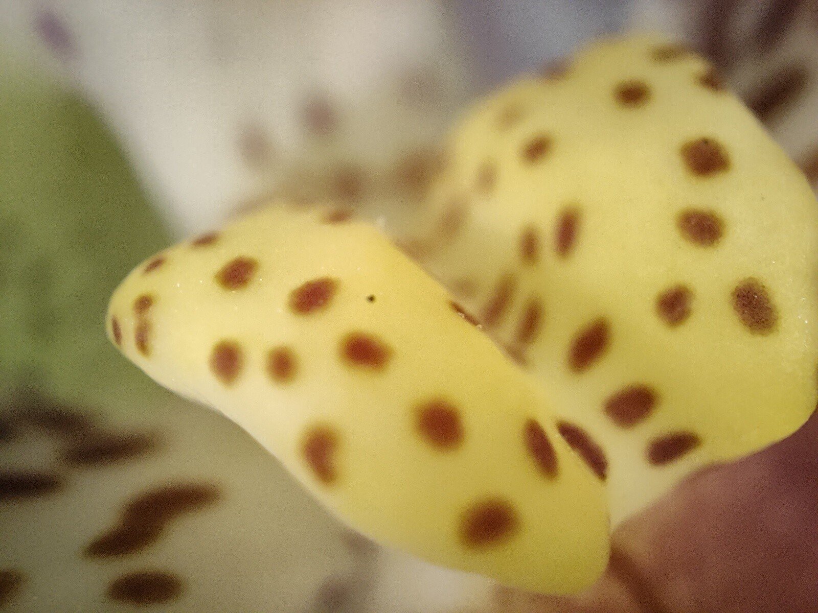 IMG20220319150108.jpg