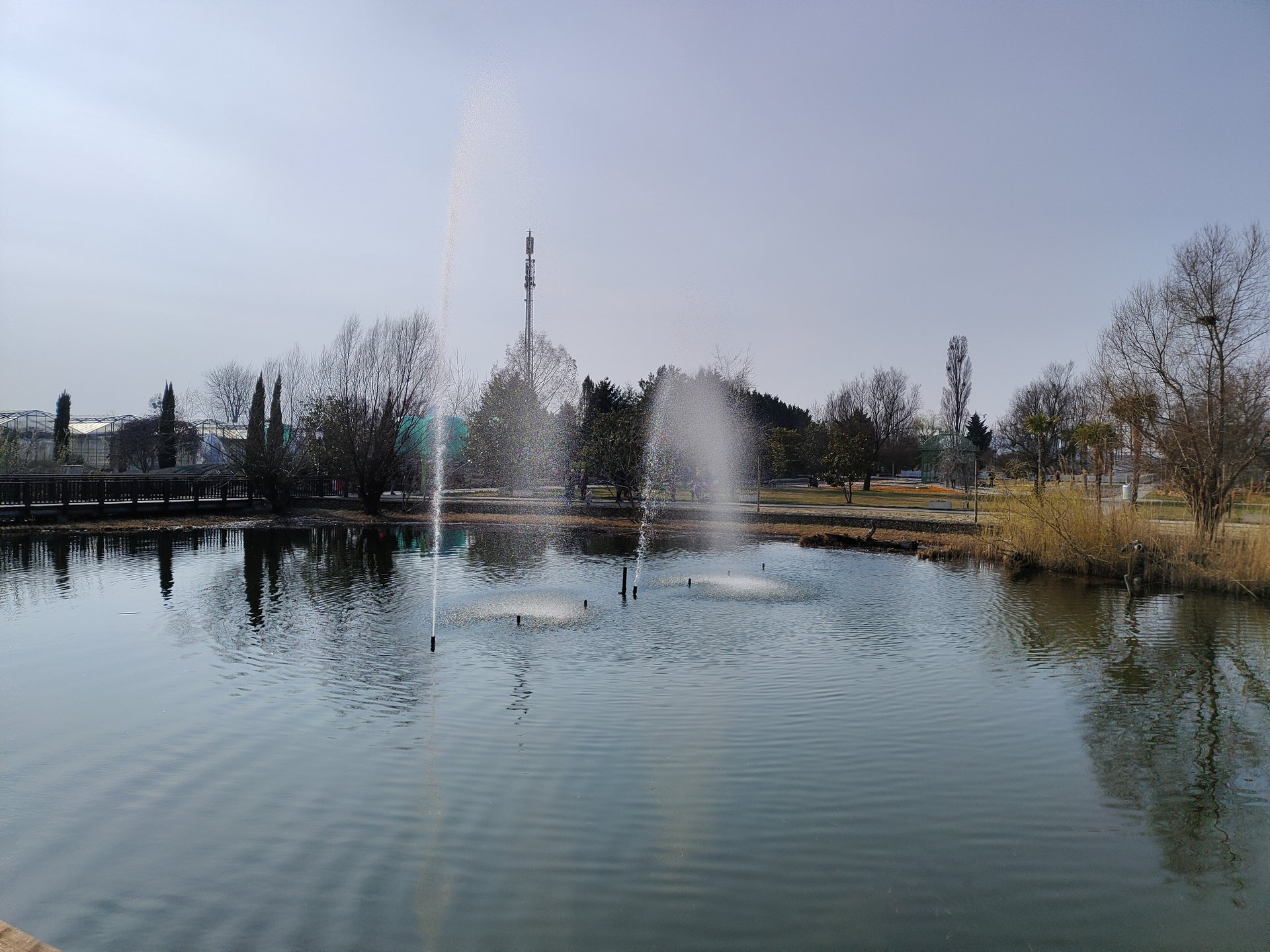 IMG20220319150829.jpg